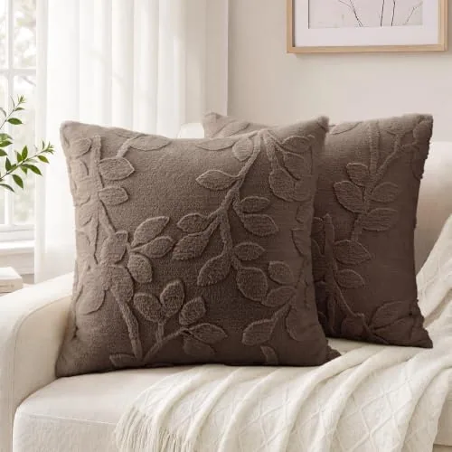 HOMEIDEAS Pillow Covers