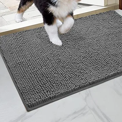 HOMEIDEAS Dog Door Mat for Muddy Paws 30x20
