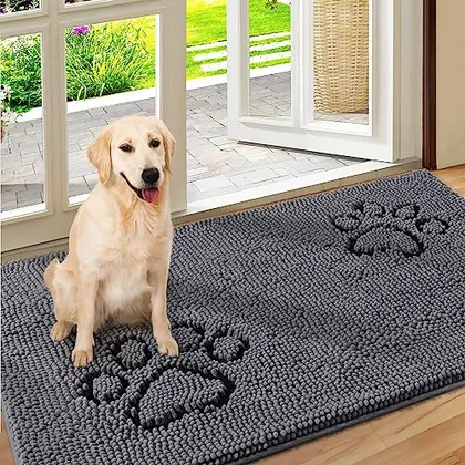 HOMEIDEAS Doormat Indoor Entrance