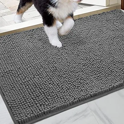 HOMEIDEAS Doormat Indoor Entrance