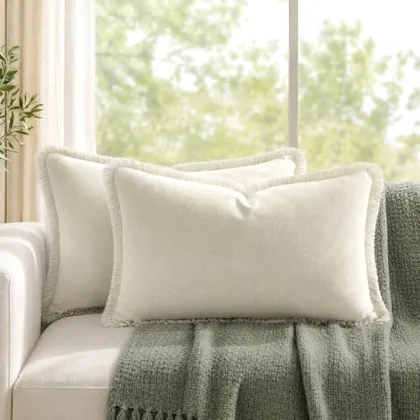 HOMEIDEAS Ivory Cream Velvet Throw Pillow Covers 20x12 Set of 2