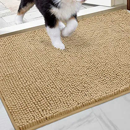 HOMEIDEAS Doormat Indoor Entrance