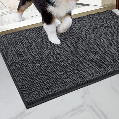 HOMEIDEAS Doormat Indoor Entrance