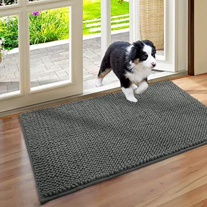HOMEIDEAS Absorbent Chenille Door Mat Indoor for Entryway