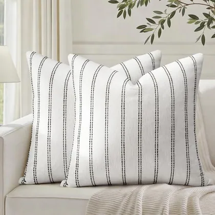 HOMEIDEAS Decorative Black and White Throw Pillow Covers 20x20 Set of 2